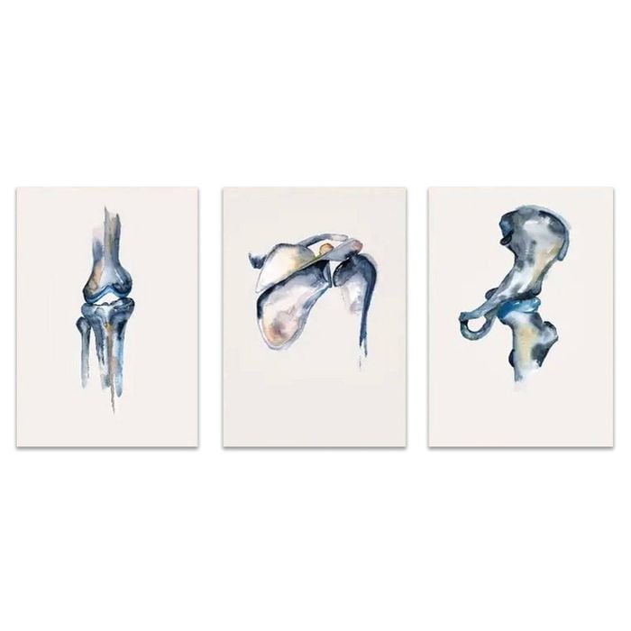 3pcs Classic Ink Anatomy Portrait Print 100% Australian Made 3 x 40x60cm (Metal Print)
