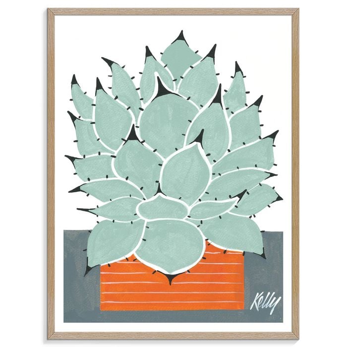 Artist Lane "MexiCan" by Kelly - 41x51cm Timber Framed Print