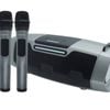 Andowl Portable Bluetooth Karaoke Speaker Dual Wireless Microphones