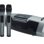 Andowl Portable Bluetooth Karaoke Speaker Dual Wireless Microphones