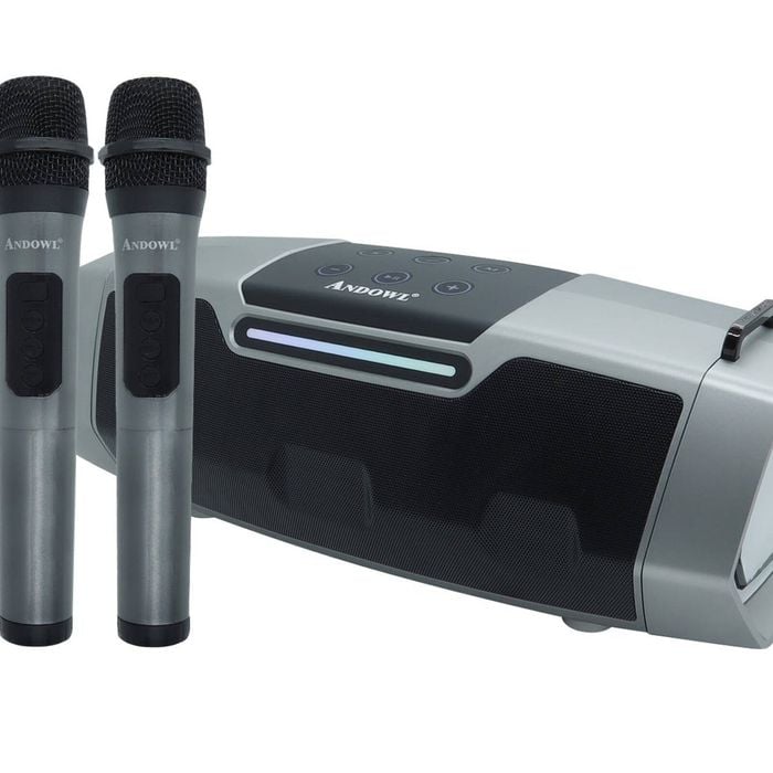 Andowl Portable Bluetooth Karaoke Speaker Dual Wireless Microphones