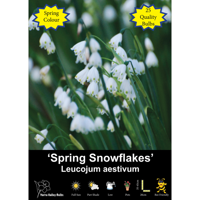 Yarra Valley Bulbs Spring Snowflakes - 25 Pack