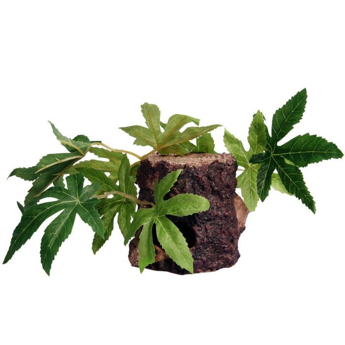 Reptile One Sativa On Resin Log (46784)