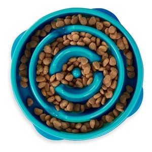 Outward Hound Fun Feeder Slo Bowl For Dogs - Teal 1 X Small