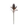 75cm Artificial Rouge Banksia Native Flower