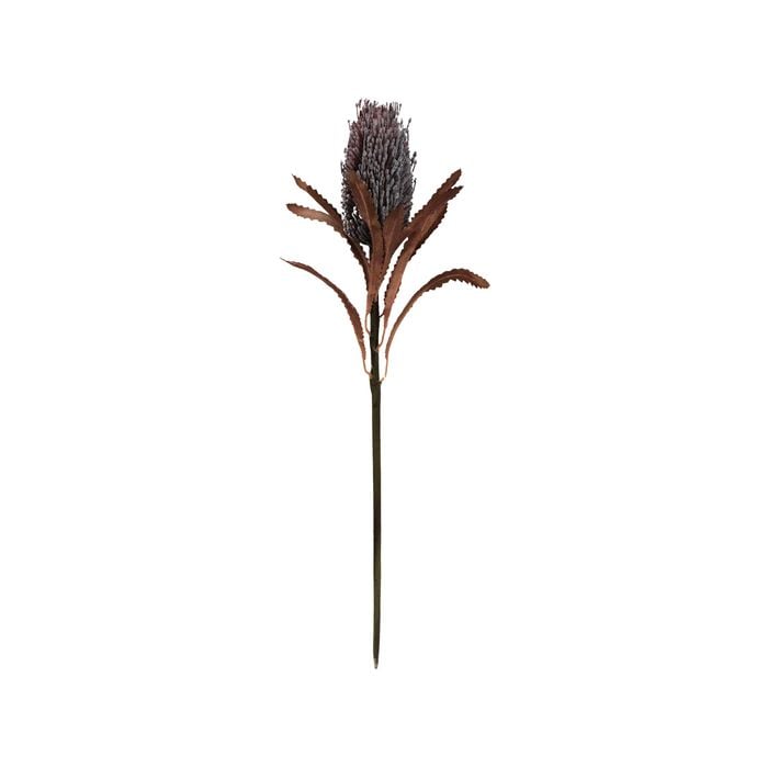 75cm Artificial Rouge Banksia Native Flower