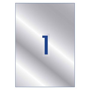 Heavy Duty Silver Identification Labels 20pcs (295x208mm)