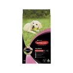 Puppy Food