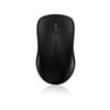 Rapoo 1620 Wireless Optical Mouse