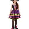 Rainbow Toddler Girls Barbie Witch Halloween Costume - Toddler