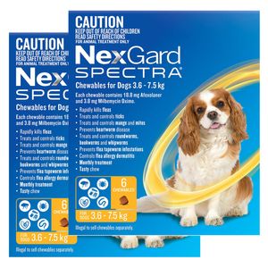Nexgard Spectra Small Dogs (3.6 - 7.5kg) Yellow 12 Pack