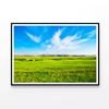 large green field with a sky  Print 100% Australian Made 90x60cm  (Poster)