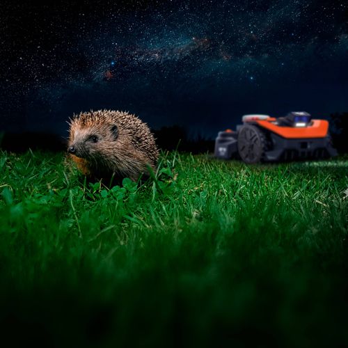 Night time mowing with Fiatlix headlights - IN 1206090 -IN 1206091.png