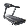 Orbit Fitness Skyline Treadmill 3hp