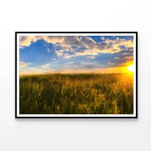 Grass with the Sun Setting  Print 100% Australian Made 120x90cm  (Poster)