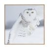 Artey | Owl in Flight I - Framed Canvas - Natural Frame - 140 x 140cm