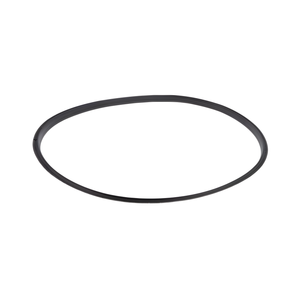 Electrolux Dryer Door Seal