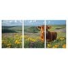 3pcs Highland Cows Frolicking with Wildflowers  Print 100% Australian Made 3 x 40x60cm (Metal Print)