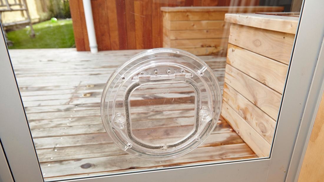 Close up of a see-through pet door installed on a glass door leading into an outdoor area