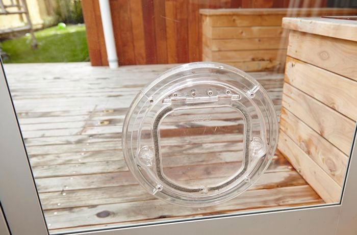 Close up of a see-through pet door installed on a glass door leading into an outdoor area