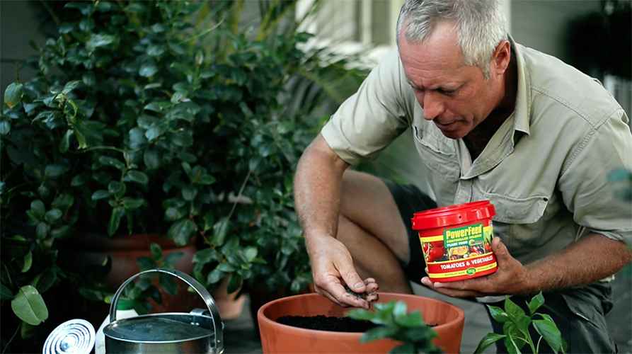 Man adding plant food to soil in a large pot