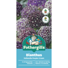 Fothergill's Dianthus Hollandia Purple Crown Flower Seeds