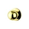 Sylvan Quest Dummy Knob Polished Brass