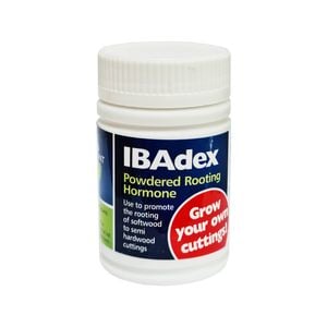 Egmont 25gm Ibadex