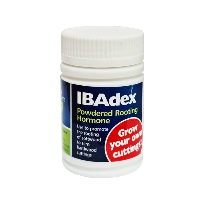 Egmont 25gm Ibadex