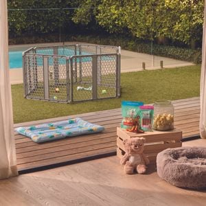 Brand page - Art & Bob -Pets art & bob treats