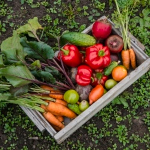 A wooden create filled with veggies