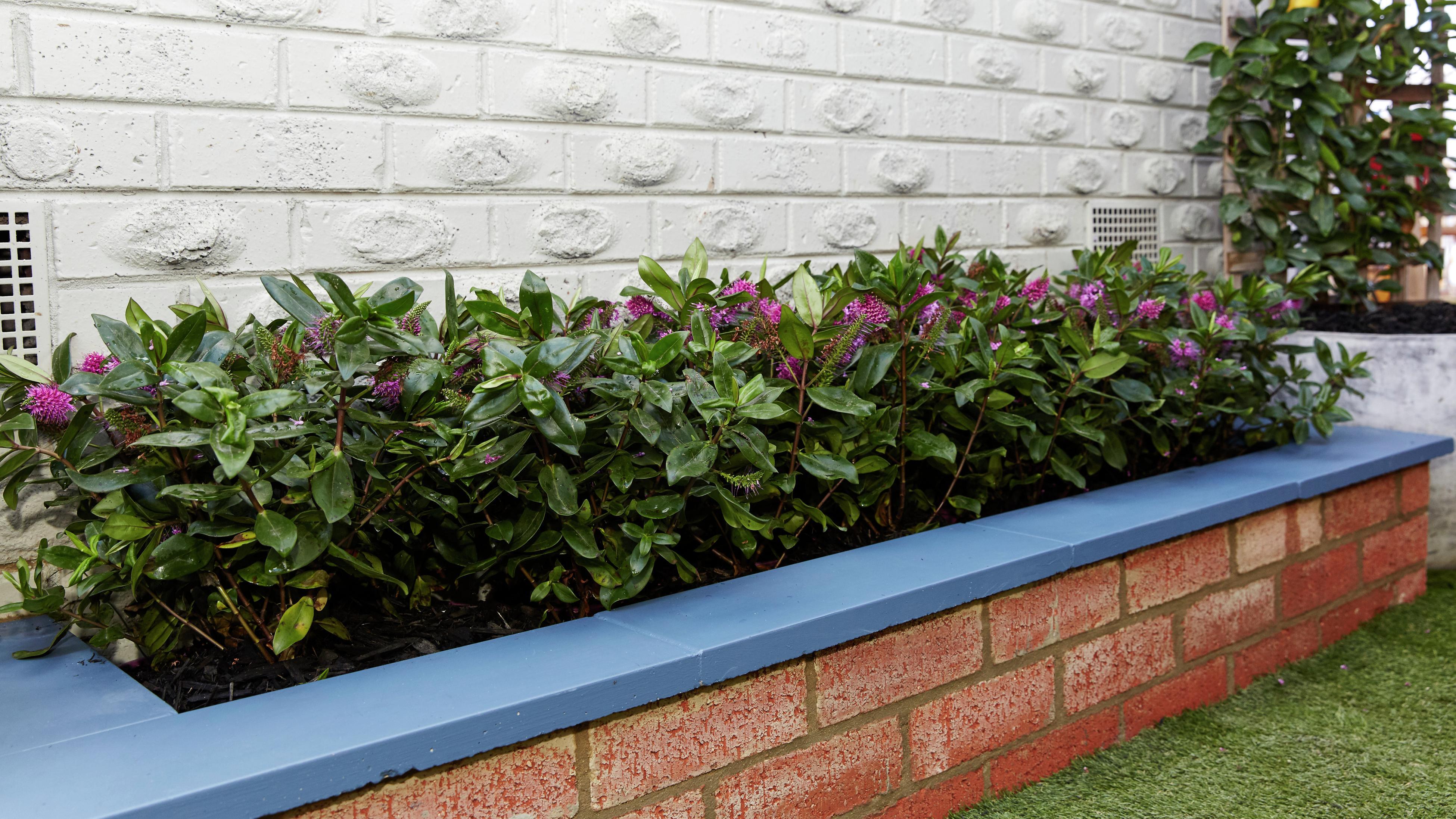 planter indoor Ceramic Raised Plant Pot main image 0