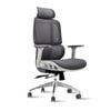 Miuz Office Chair Executive Computer Chairs Study Mesh Lumbar Back Recliner Seat