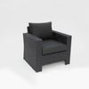 Banksia Armchair - Black Charcoal