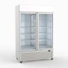Thermaster 1200L Large Two Glass Door Colourbond Upright Drink Fridge LG-1200P