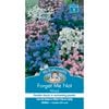 Mr Fothergills Forget Me Not Mixed Seed Flower