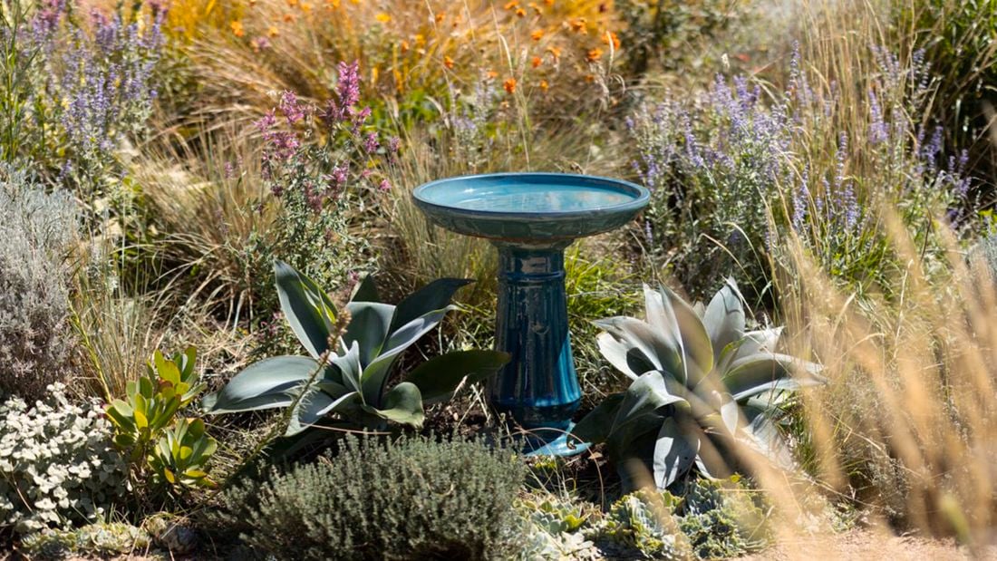 A forest green Northcote Pottery bird bath sitting in a garden bed with ornamental grasses and flowering plants