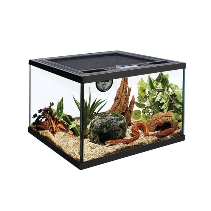Deluxe Reptile Terrarium 30cm X 30cm X 20cm