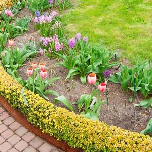 Jack
  Oxyshield Edging