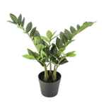 Un-Real 55cm Artificial Zanzibar Plant