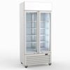 Thermaster 580L Double Glass Door Colourbond Upright Drink Fridge LG-580P