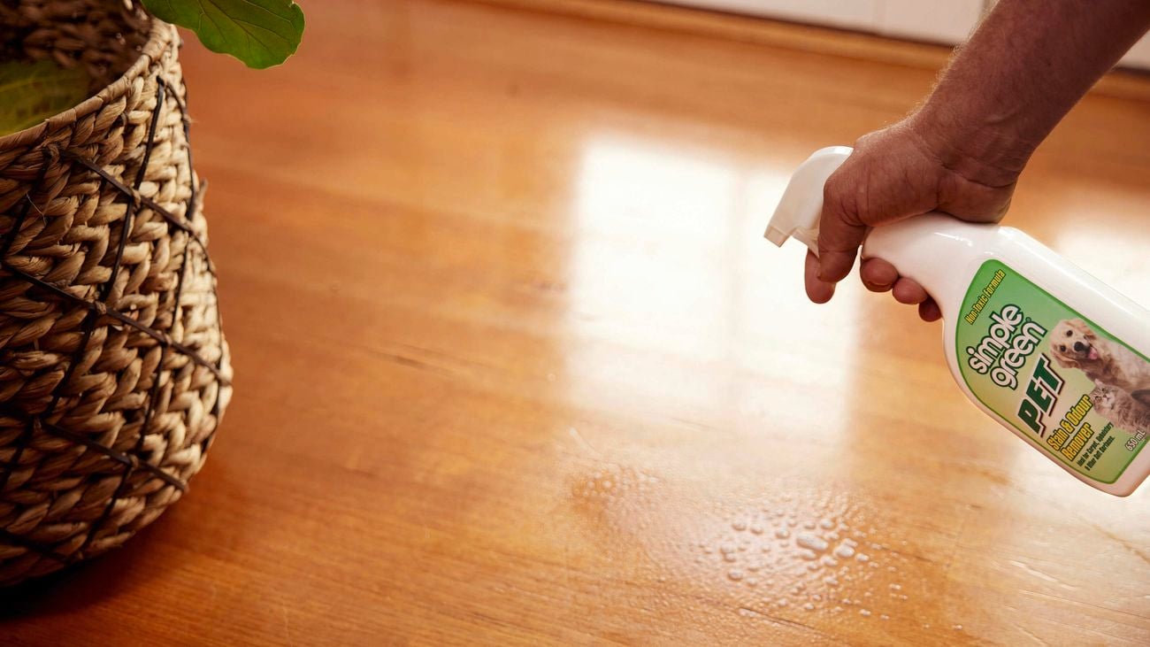 Puppy’s mess being cleaned with a pet odour removing spray.