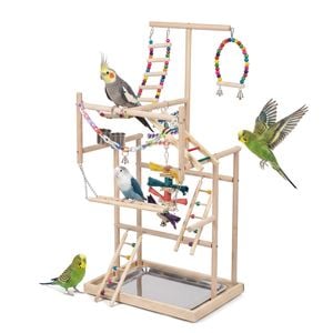 Advwin Bird Playground Natural Wood Parrot Playstand Perch Stand Bird Cage Accessories