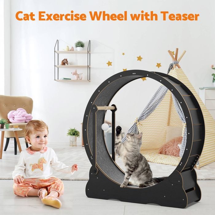Advwin Cat Exercise Wheel With Teaser 2in1 Cat Treadmill