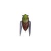 Megabass Tiny Siglett 30mm Cicada Topwater Surface Fishing Lure Mat Higurashi II