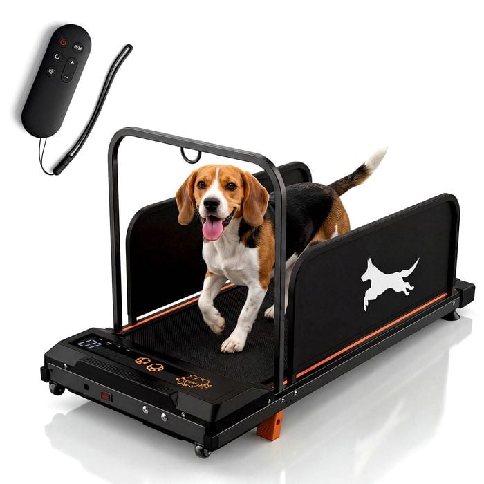 Advwin Dog Treadmill For Small And Medium Dogs Pet Treadmill With Remote Control