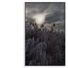 Winter Wonderland Landscape  Print 100% Australian Made 90x120cm  (Poster)