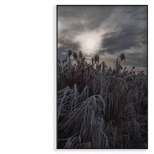 Winter Wonderland Landscape  Print 100% Australian Made 90x120cm  (Poster)