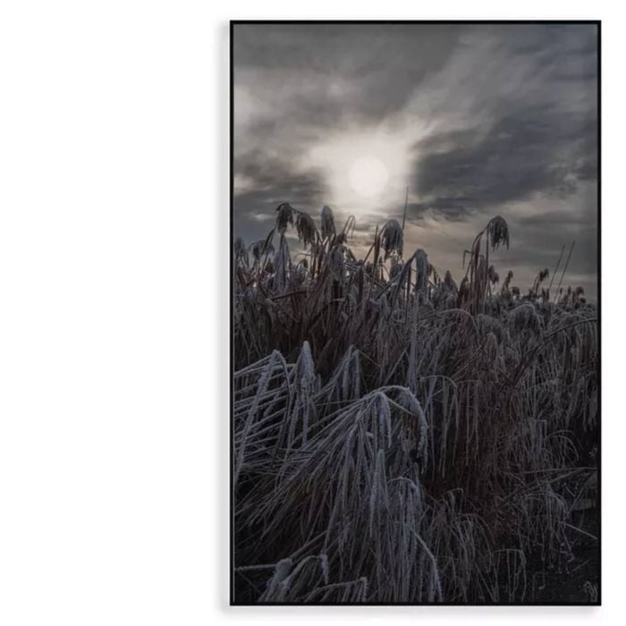 Winter Wonderland Landscape  Print 100% Australian Made 90x120cm  (Poster)