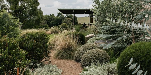 A garden with a gravel pathway, lined with native shrubs and grasses